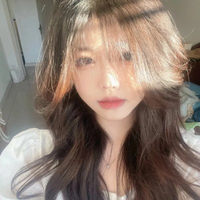 梅花档案